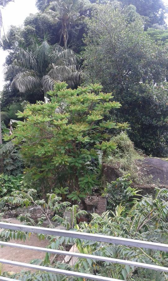 Madu Sentana House Hotel Ubud  Bagian luar foto
