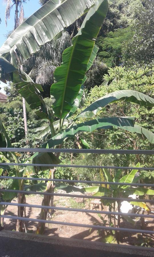 Madu Sentana House Hotel Ubud  Bagian luar foto